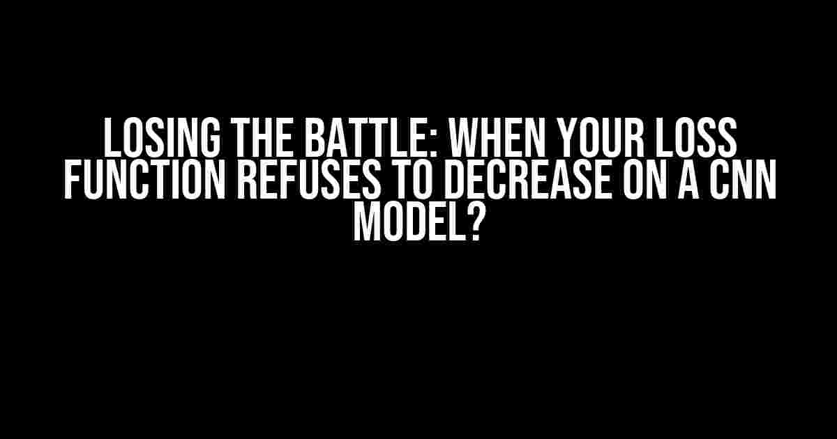 Losing the Battle: When Your Loss Function Refuses to Decrease on a CNN Model?